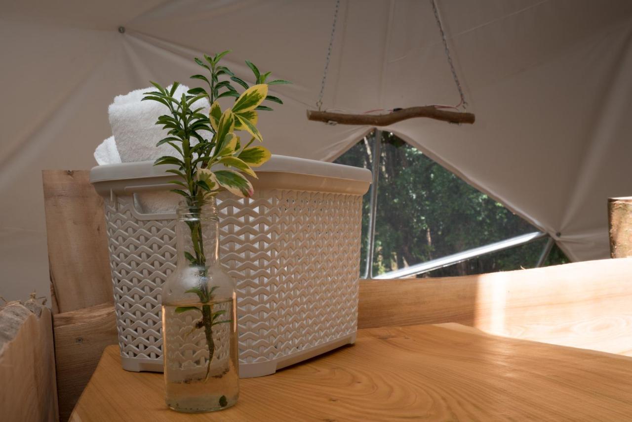 Cabanas Ensenada Bosque Nativo Exterior photo