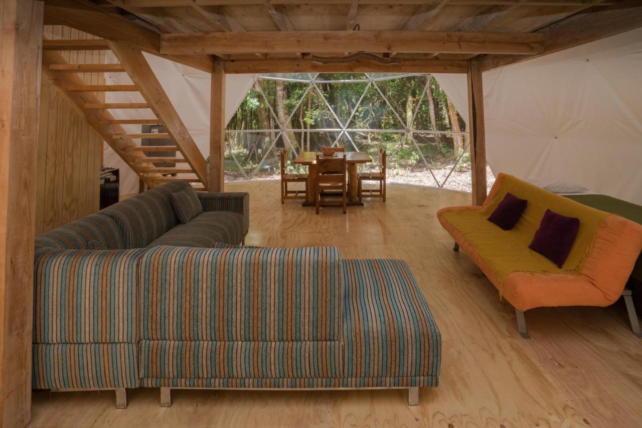 Cabanas Ensenada Bosque Nativo Exterior photo