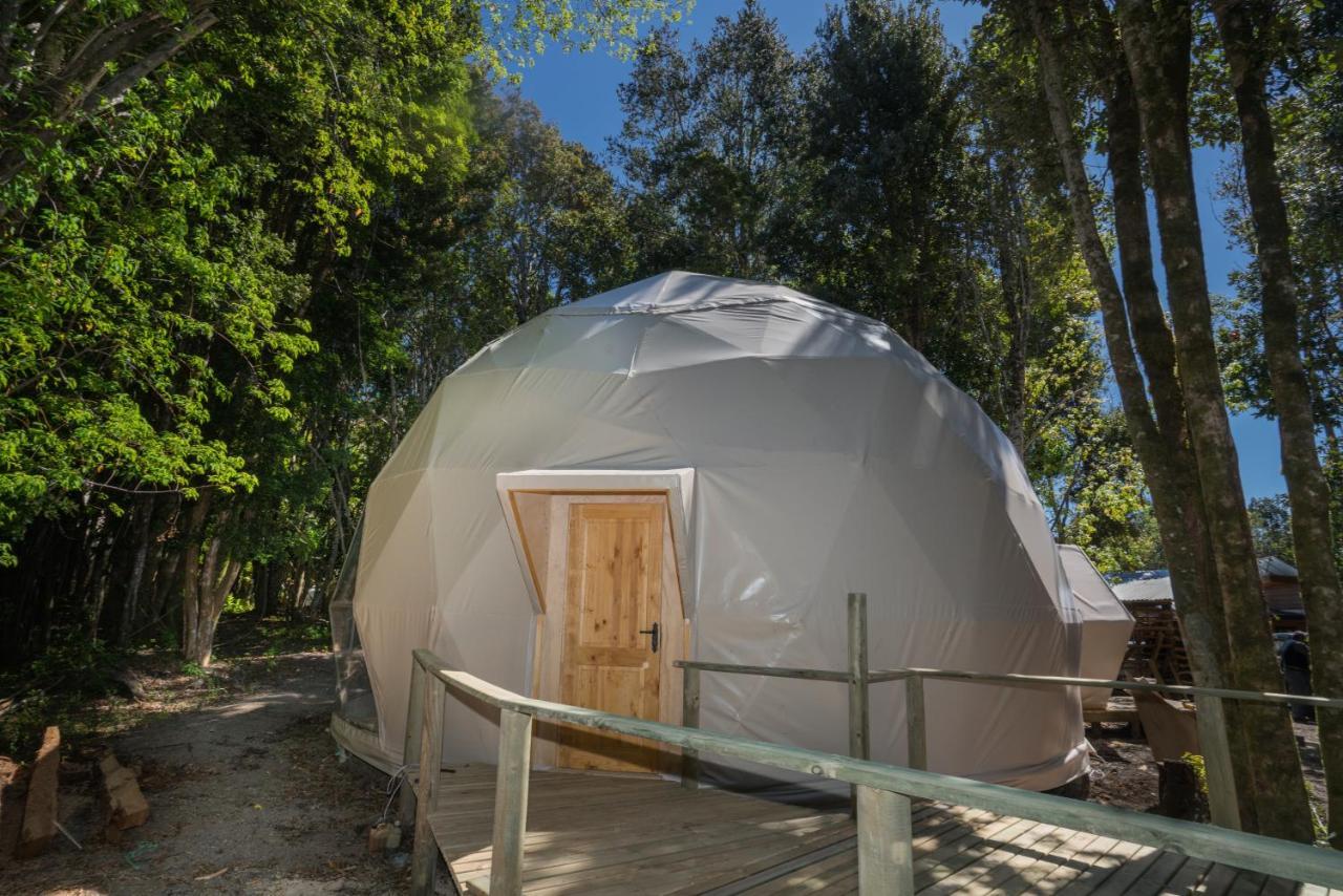 Cabanas Ensenada Bosque Nativo Exterior photo