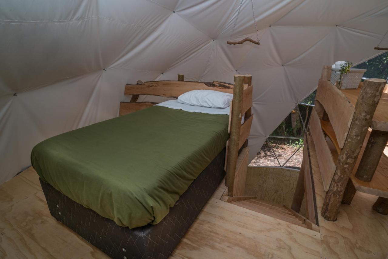 Cabanas Ensenada Bosque Nativo Exterior photo