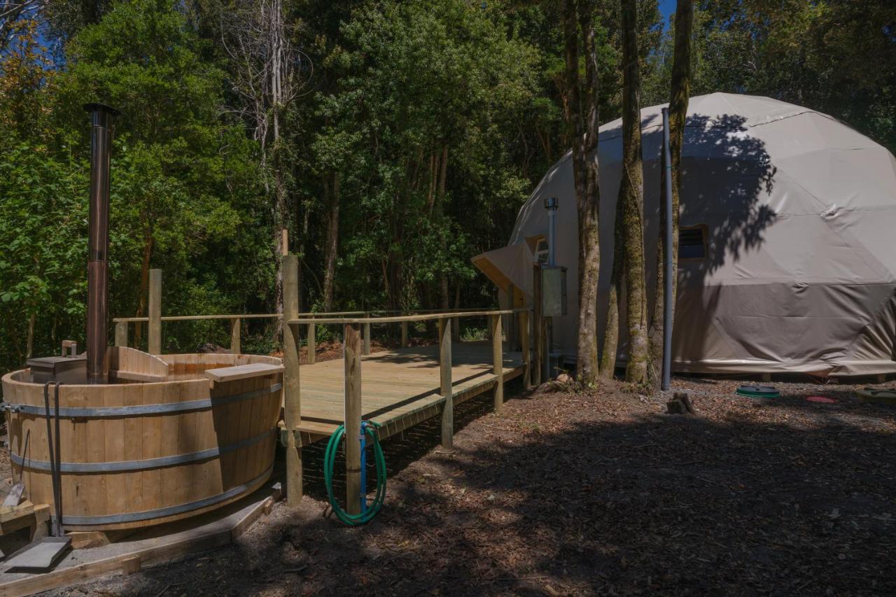 Cabanas Ensenada Bosque Nativo Exterior photo