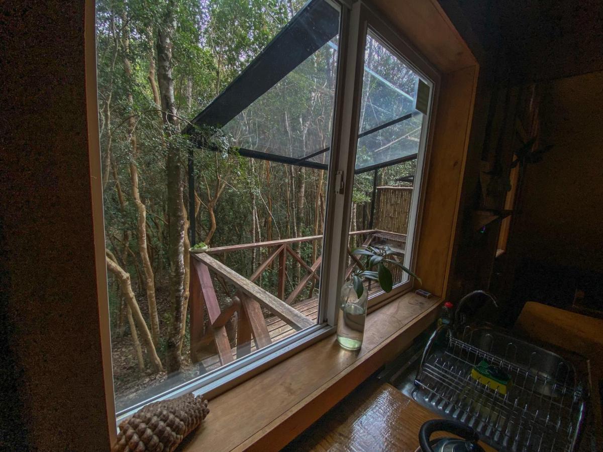 Cabanas Ensenada Bosque Nativo Exterior photo
