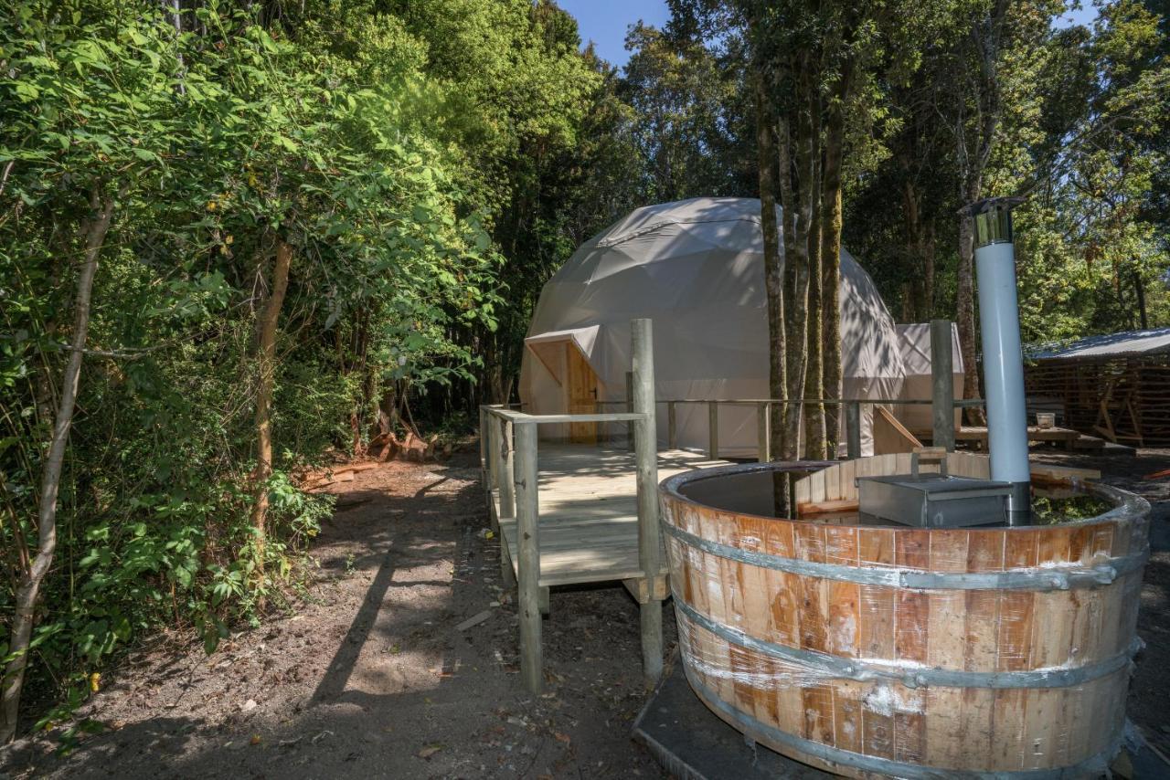 Cabanas Ensenada Bosque Nativo Exterior photo
