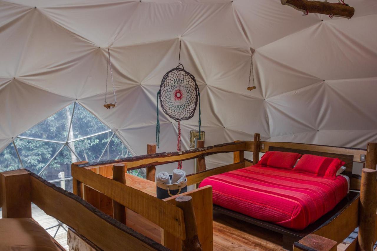 Cabanas Ensenada Bosque Nativo Exterior photo