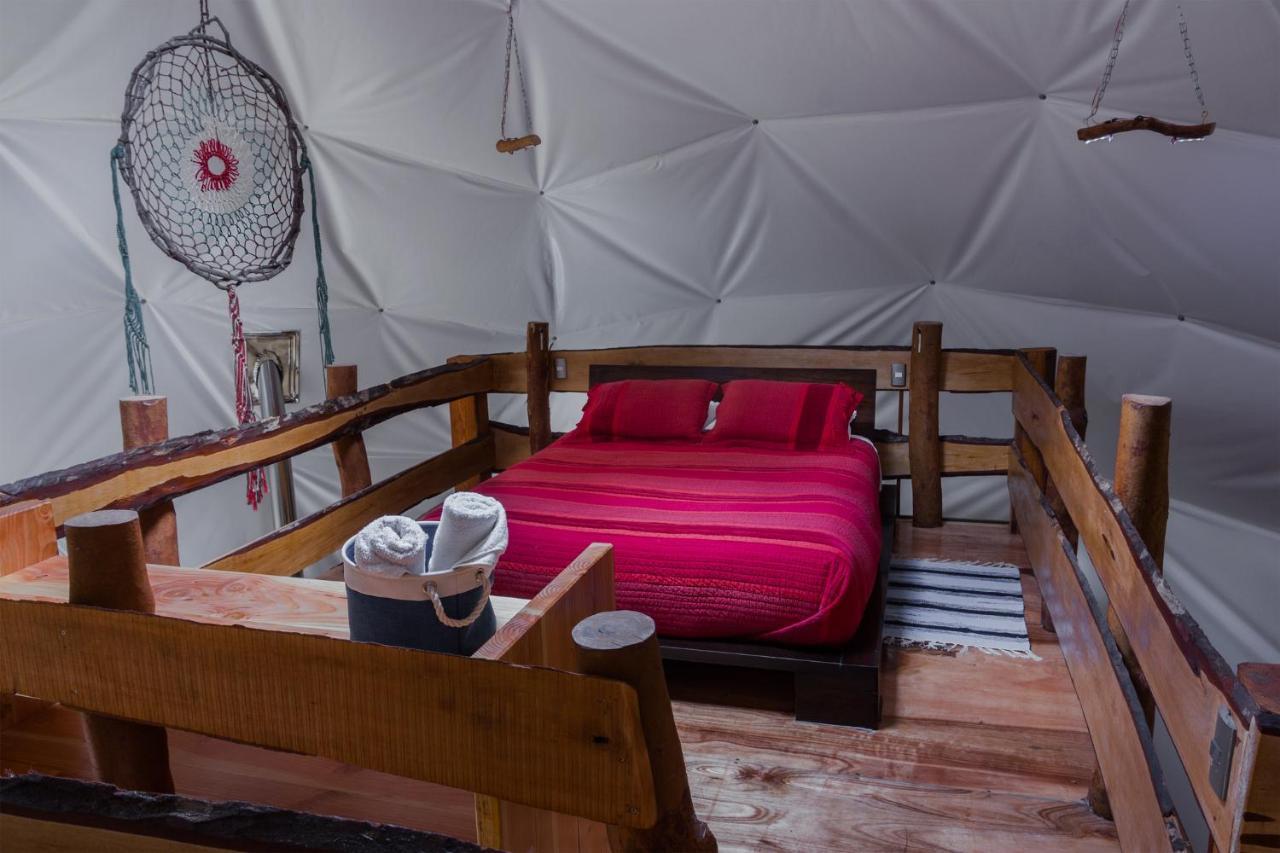 Cabanas Ensenada Bosque Nativo Exterior photo