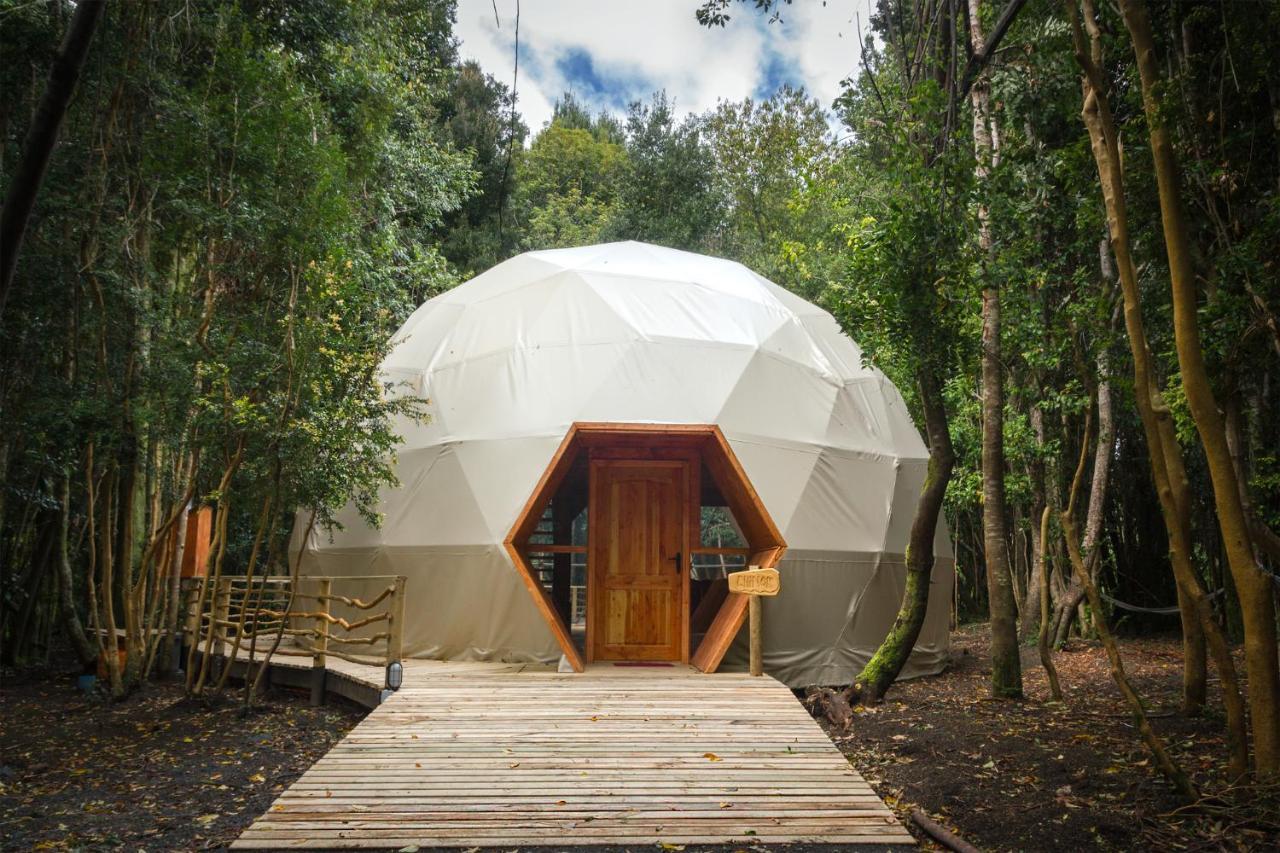Cabanas Ensenada Bosque Nativo Exterior photo