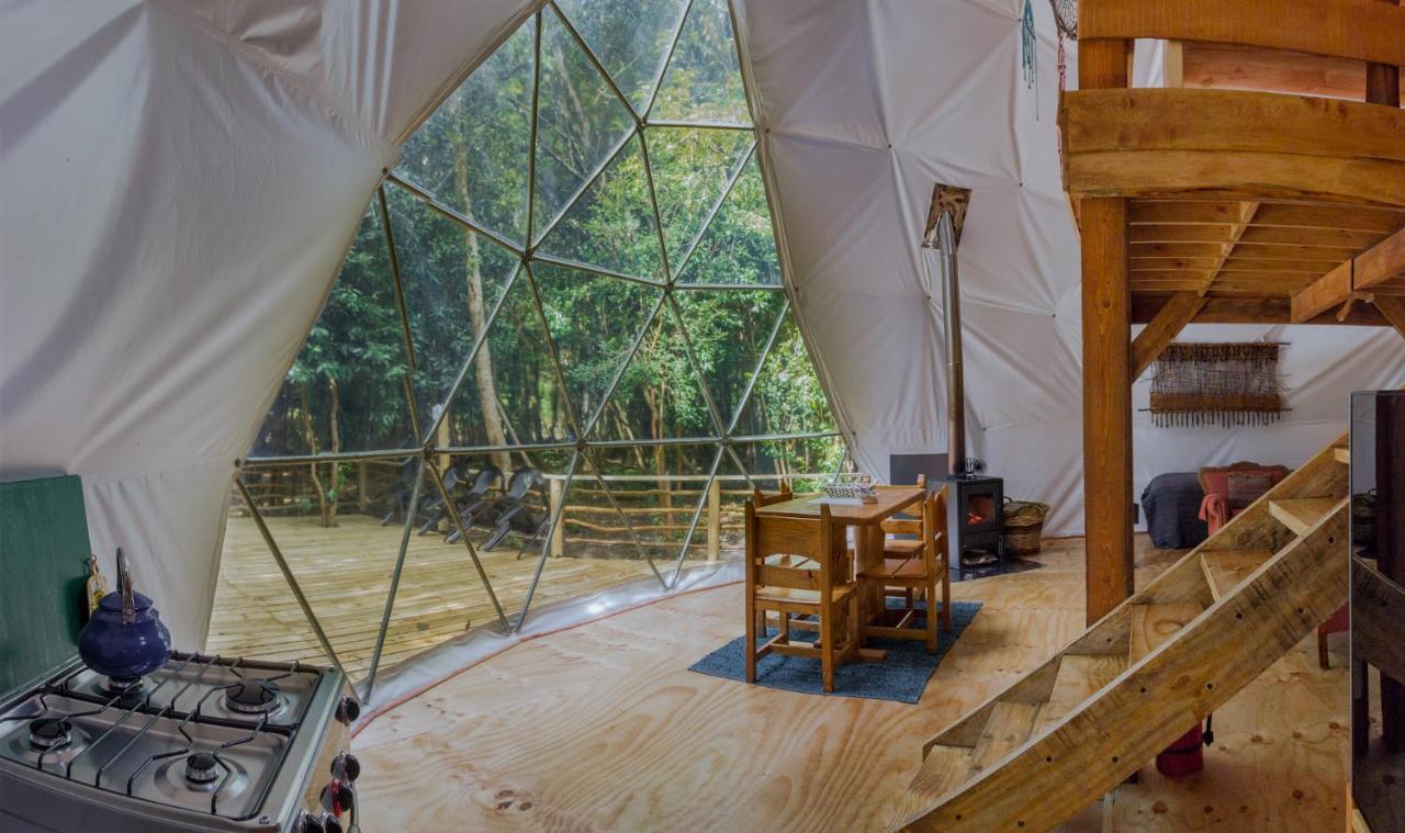 Cabanas Ensenada Bosque Nativo Exterior photo