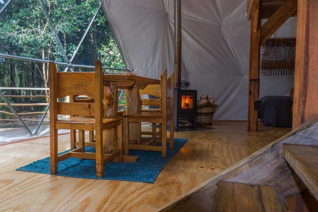 Cabanas Ensenada Bosque Nativo Exterior photo