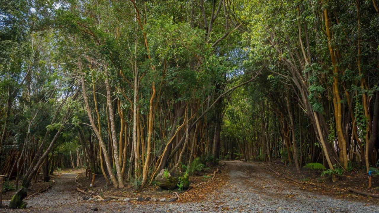 Cabanas Ensenada Bosque Nativo Exterior photo