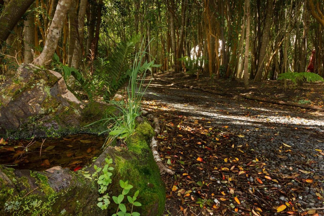 Cabanas Ensenada Bosque Nativo Exterior photo